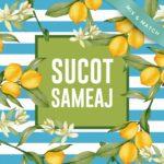 Placemats Cuadrados - Imagen 2