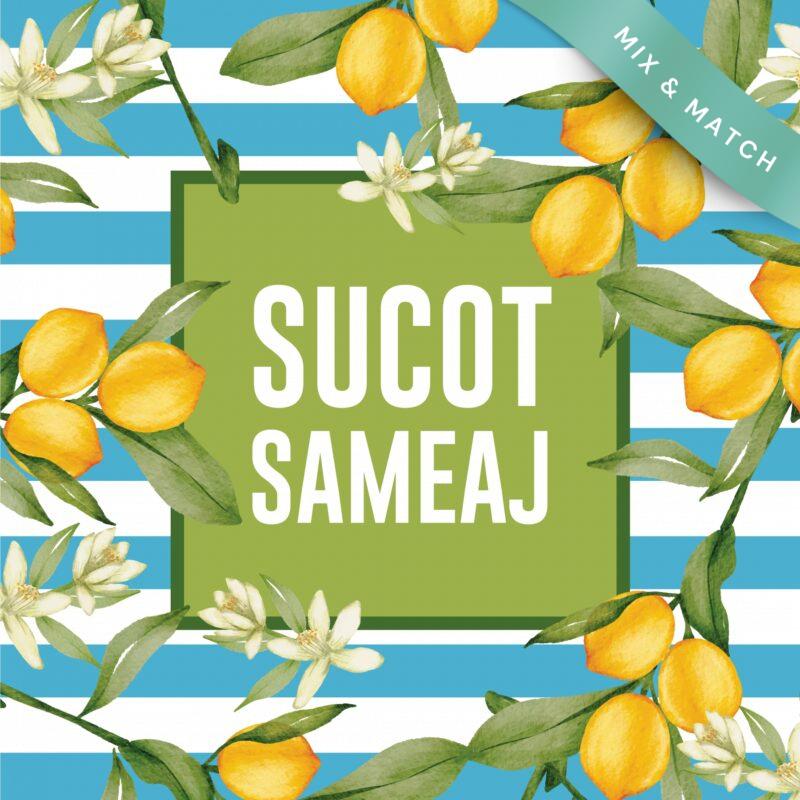 ARTE 5 PLACEMAT_page-0001