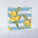 Caja de matza Acrílica Vertical - Imagen 9